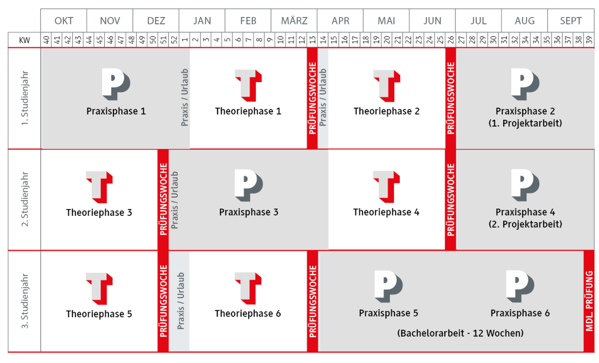 Studienverlauf Agrarwirtschaft Studium