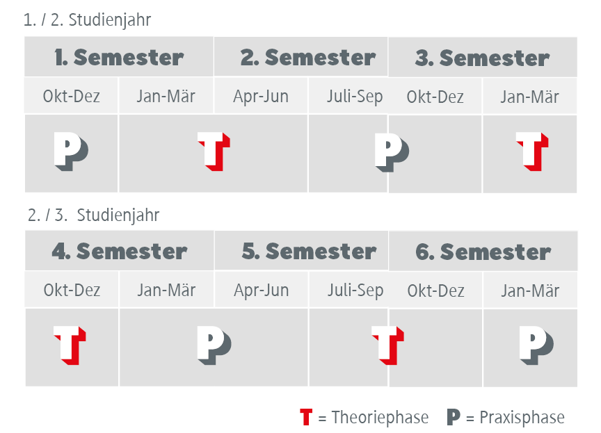 Studienverlauf Gesundheitsmanagement Studium